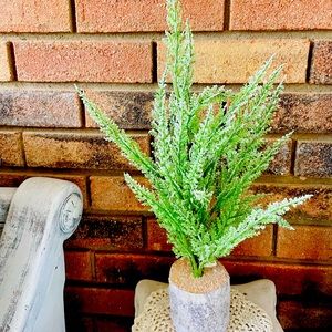 *Wispy Winter Tree w/Birch Base 18”